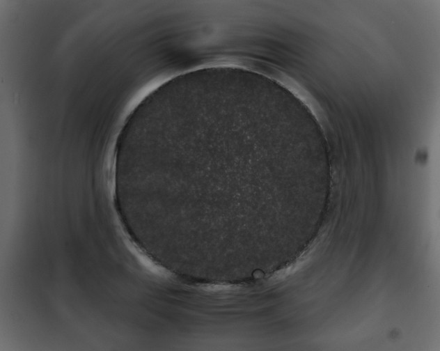 X0000102341127200808081124