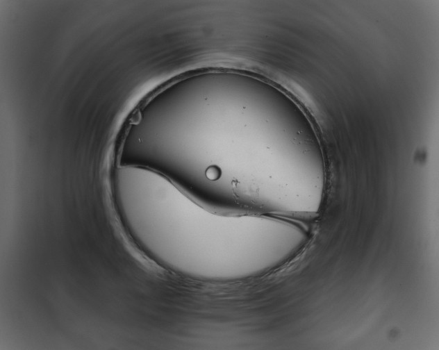 X0000102341128200808081124