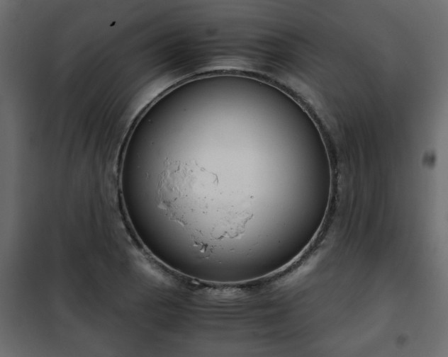 X0000102341129200808081124