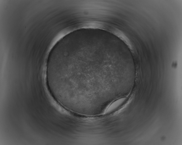 X0000102341130200808081125