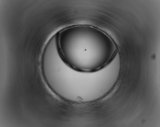 X0000102341134200808081125