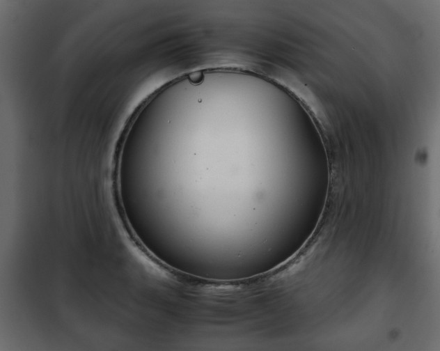 X0000102341135200808081125