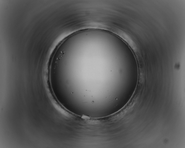 X0000102341136200808081125