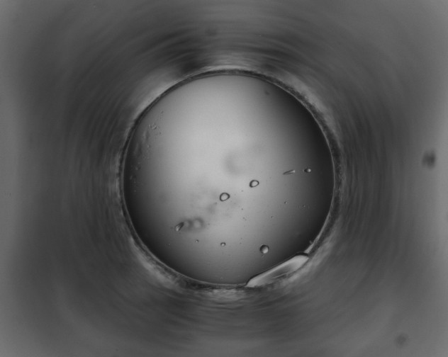 X0000102341137200808081125