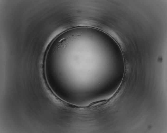 X0000102341138200808081125