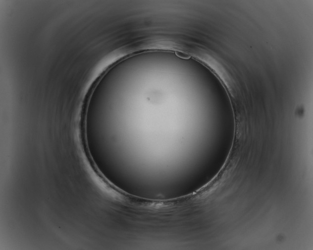 X0000102341139200808081125