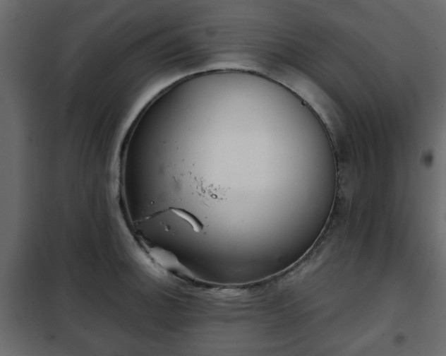 X0000102341140200808081125