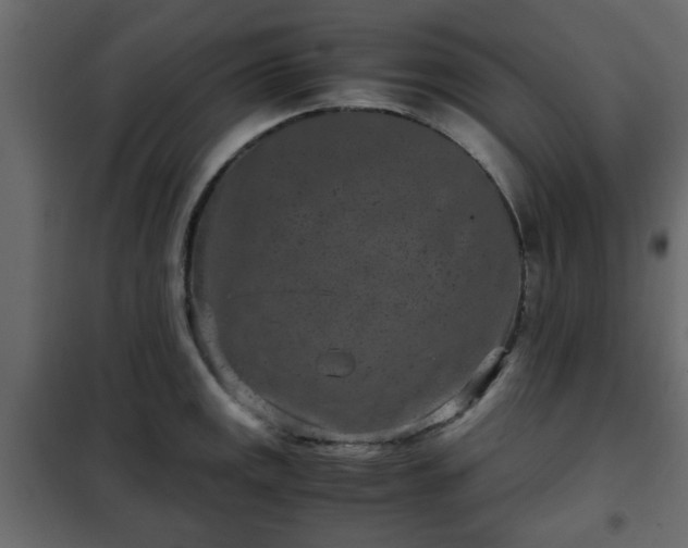 X0000102341141200808081125