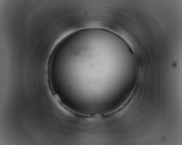 X0000102341142200808081125