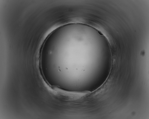 X0000102341143200808081125