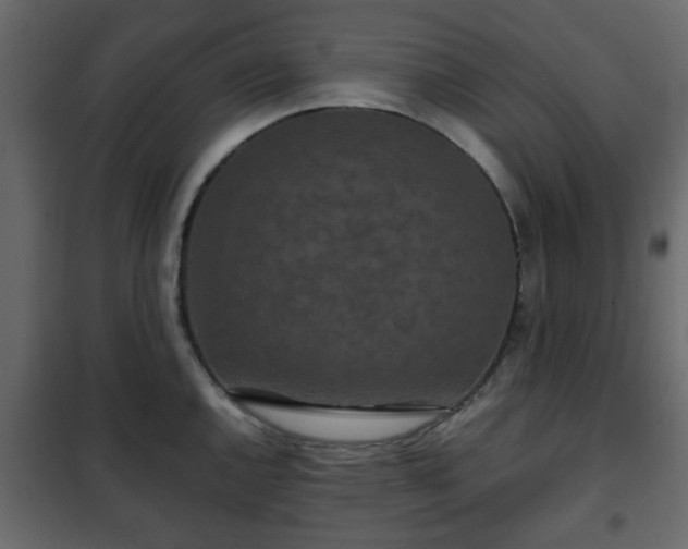 X0000102341144200808081125