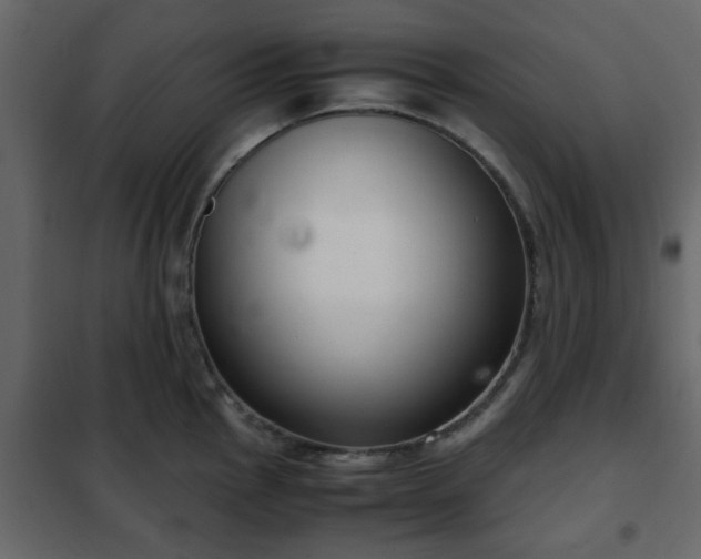 X0000102341145200808081125