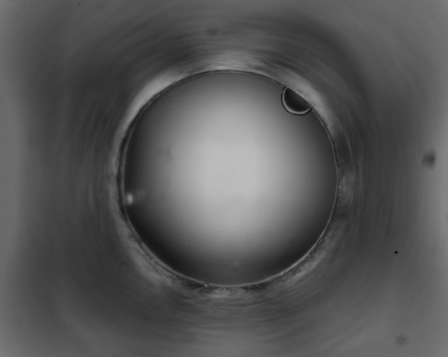 X0000102341146200808081125