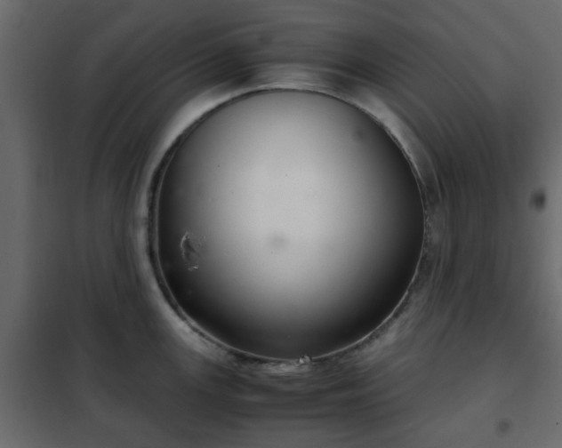 X0000102341147200808081125