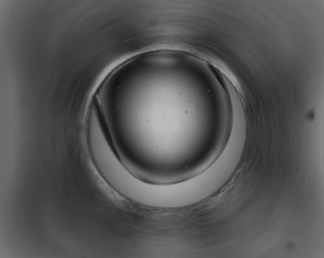 X0000102341148200808081125