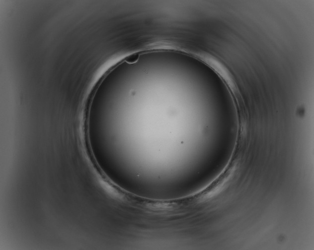 X0000102341149200808081125