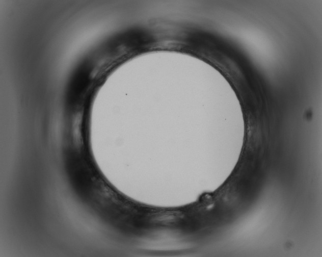 X0000102341150200808081125