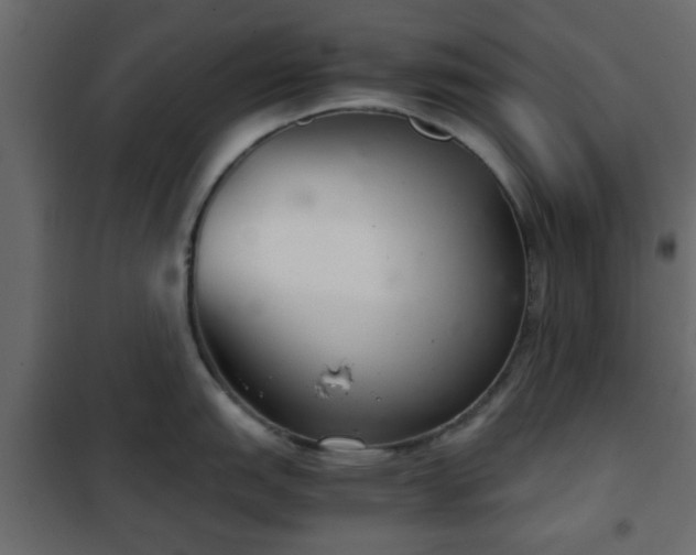 X0000102341151200808081125