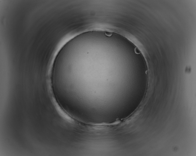 X0000102341152200808081125