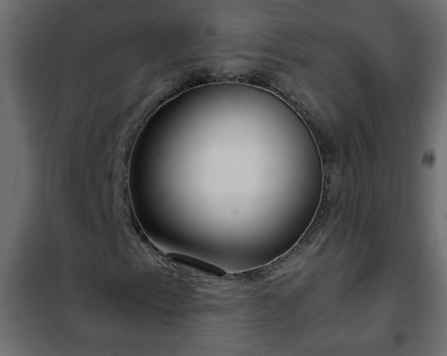 X0000102341153200808081124