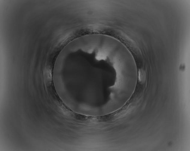 X0000102341155200808081124