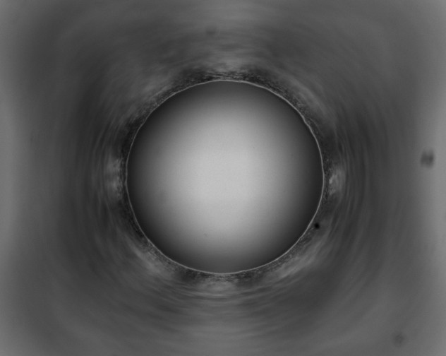 X0000102341156200808081124