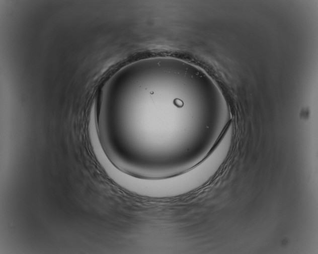 X0000102341157200808081124