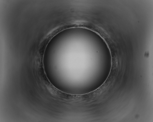 X0000102341158200808081124