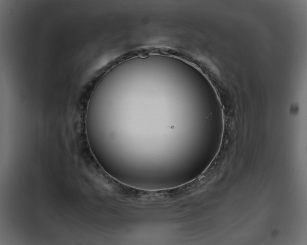 X0000102341159200808081124