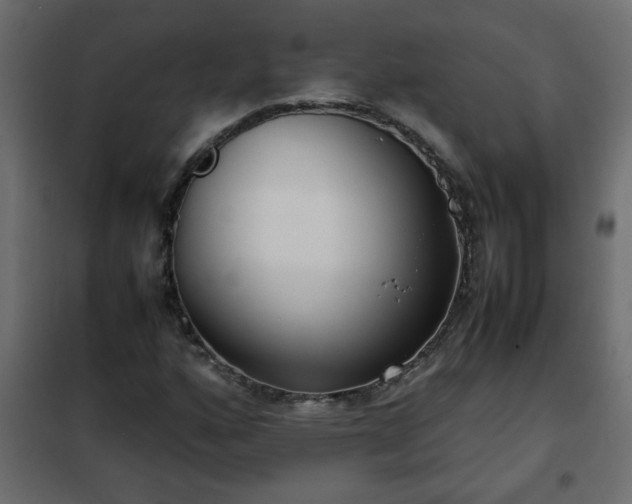 X0000102341160200808081124