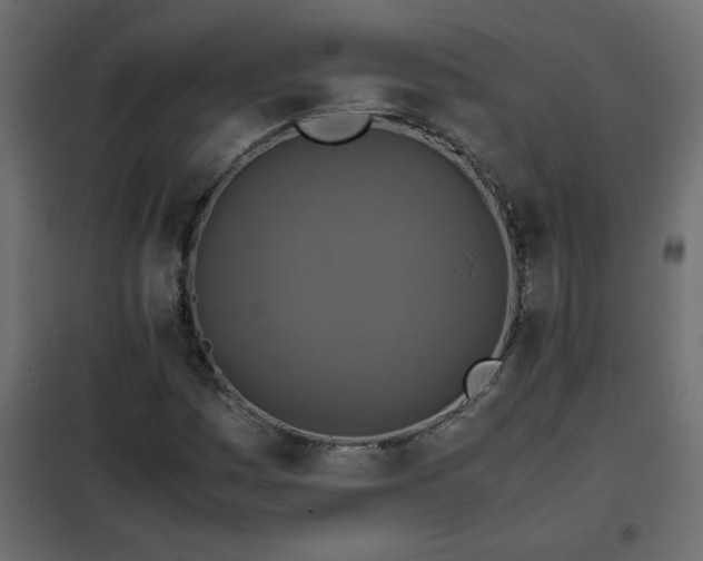 X0000102341161200808081124