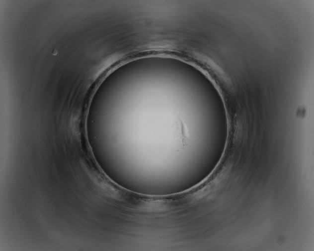 X0000102341162200808081124