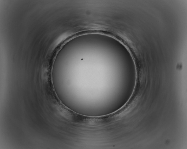 X0000102341163200808081124