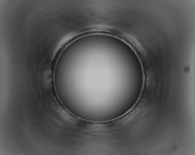 X0000102341164200808081124