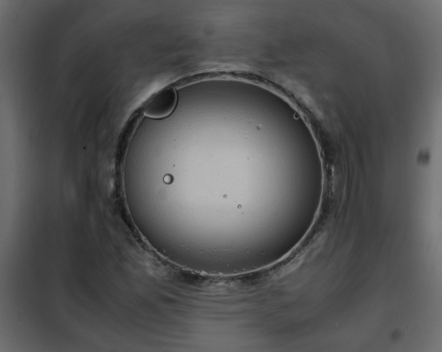 X0000102341165200808081124