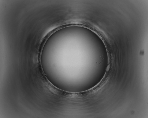 X0000102341166200808081124