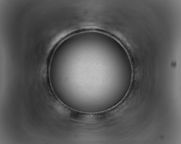 X0000102341167200808081124