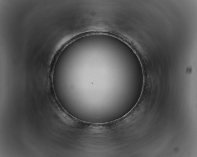 X0000102341168200808081124