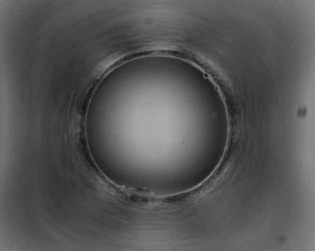 X0000102341169200808081124