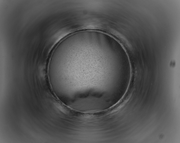 X0000102341170200808081124