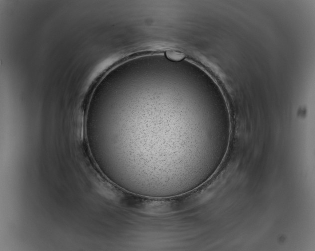 X0000102341171200808081124