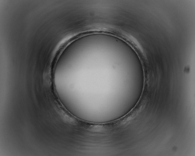 X0000102341172200808081124