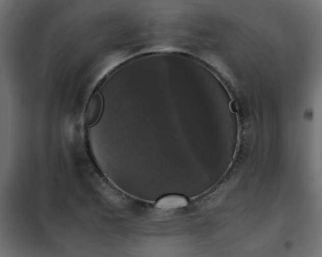 X0000102341173200808081124