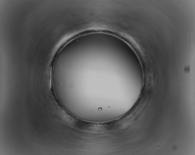 X0000102341175200808081124