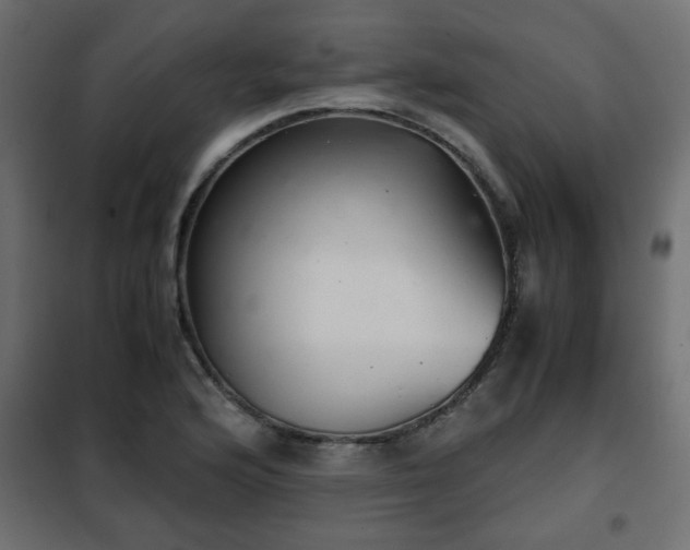 X0000102341176200808081124