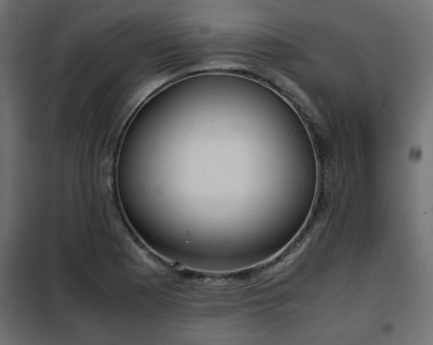 X0000102341177200808081124