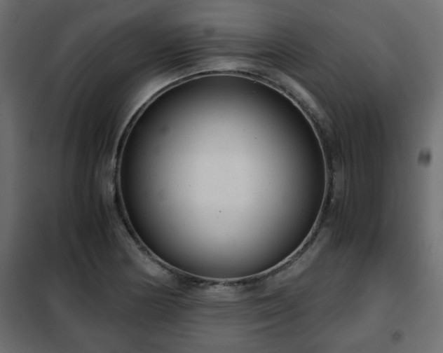 X0000102341178200808081124