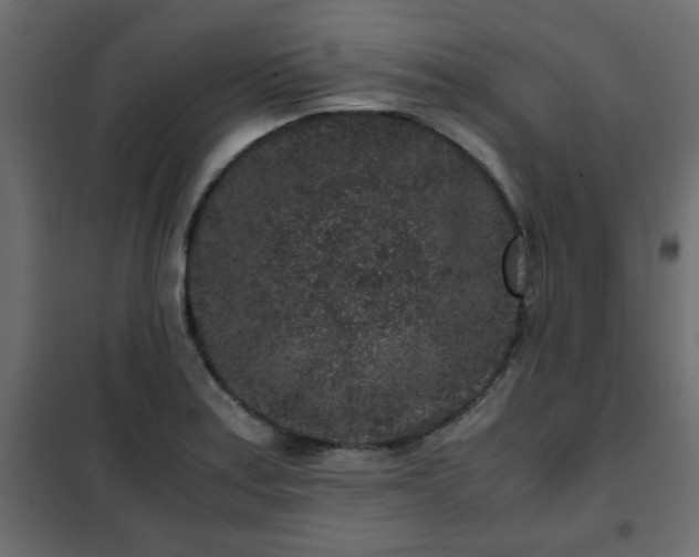 X0000102341179200808081124