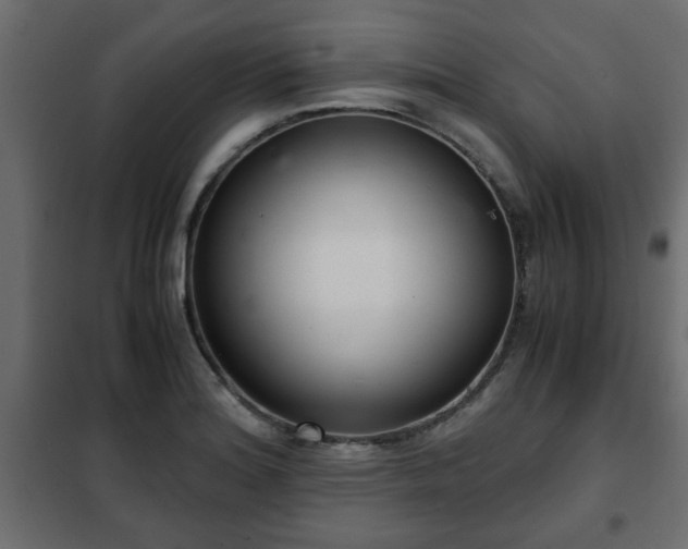 X0000102341180200808081124