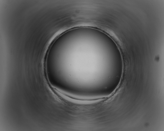 X0000102341181200808081124